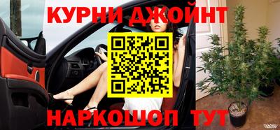 прущие грибы Ирбит