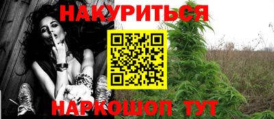 прущие грибы Ирбит