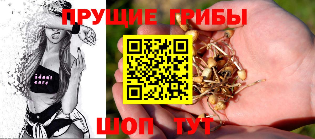 Галлюциногенные грибы Psilocybine cubensis Лабинск